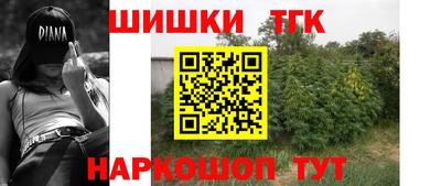 гашик Славгород