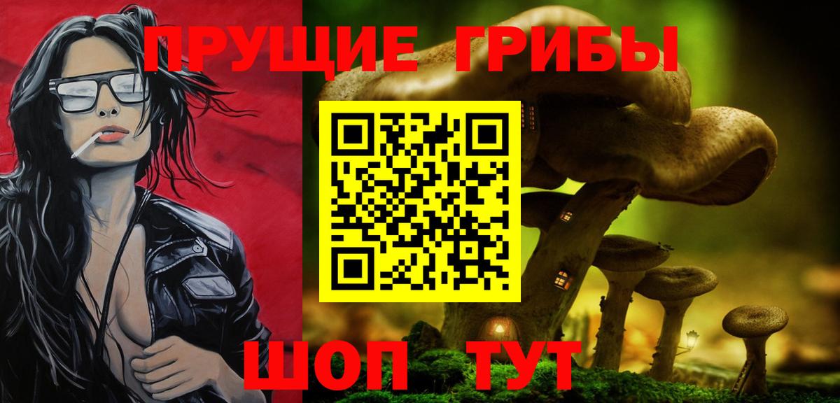 Псилоцибиновые грибы MAGIC MUSHROOMS  Вход с VPN  Омск  Галлюциногенные грибы GOLDEN TEACHER 