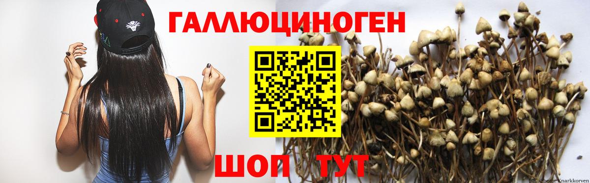 Псилоцибиновые грибы Magic Shrooms Омск